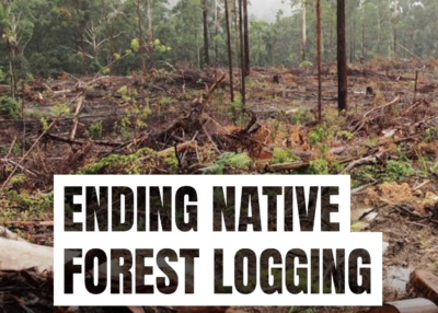 GREENS ANNOUNCE PLAN TO END NATIVE FOREST LOGGING IN NSW